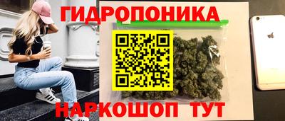 соль ск Боровичи