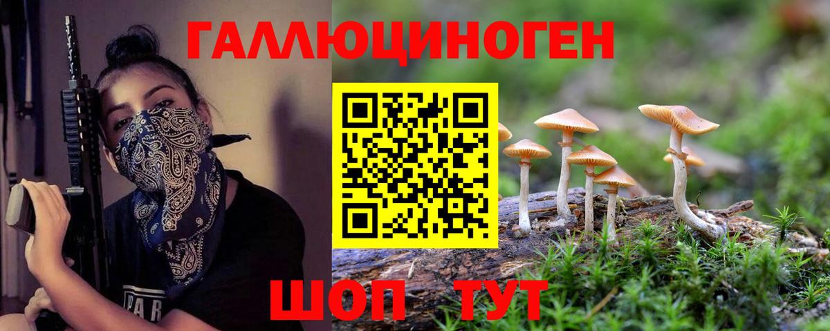Псилоцибиновые грибы Psilocybine cubensis Каменск-Шахтинский