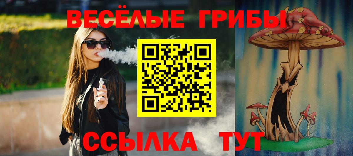 Каменск-Шахтинский  Псилоцибиновые грибы GOLDEN TEACHER  Вход с VPN 